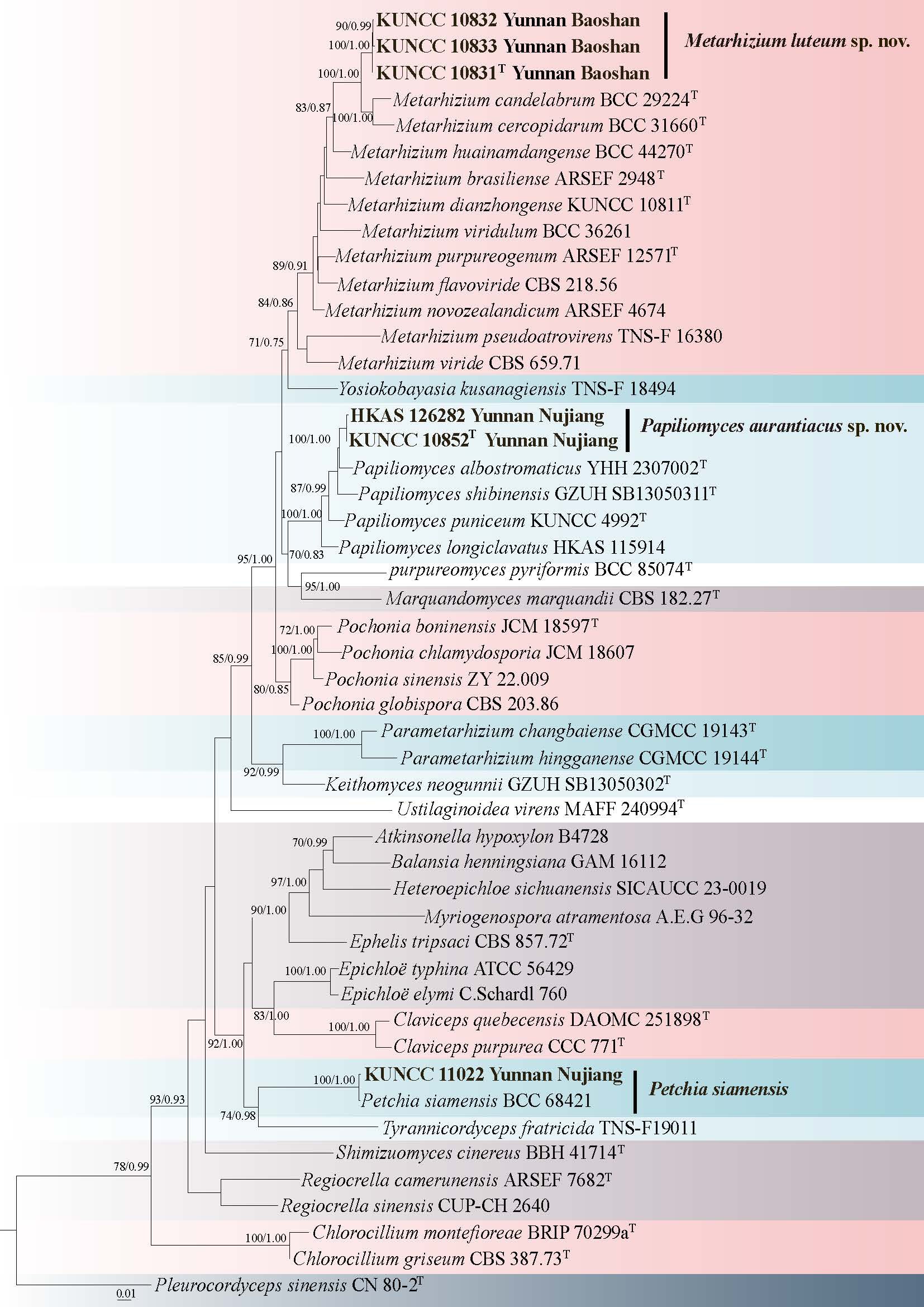Figure 57